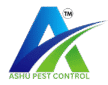 Ashu pest control